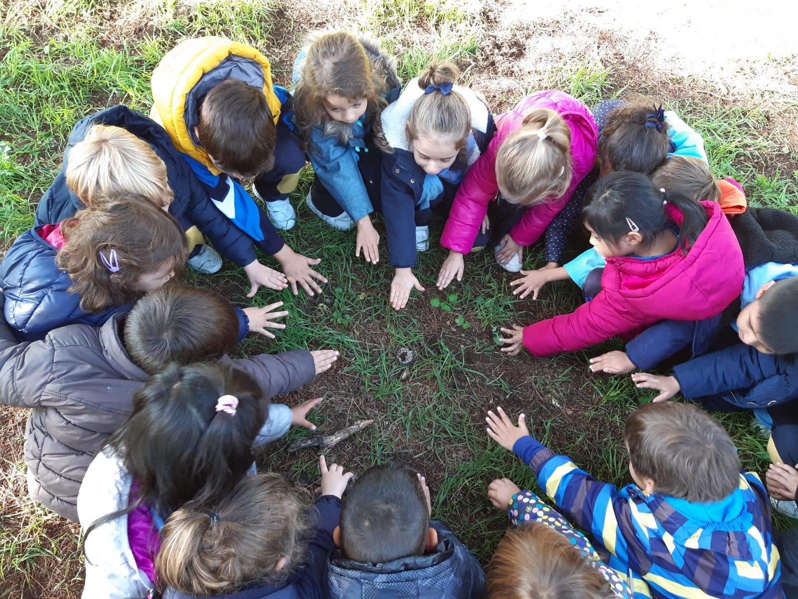 Actividades complementarias 